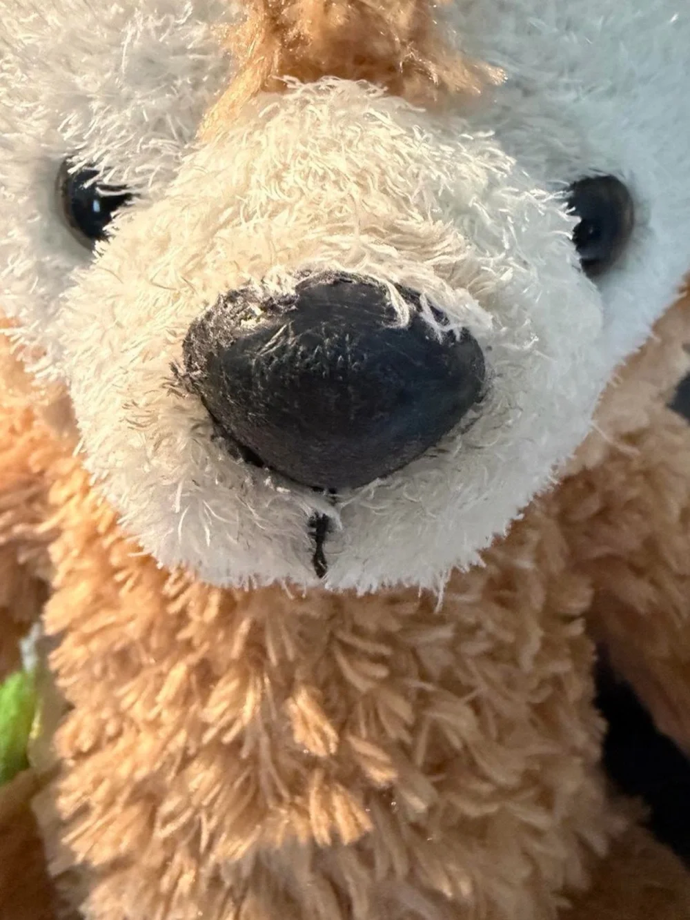 Disney Tan & Cream Duffy Bear Plush Stuffed Animal Tokyo Disney Sea Version